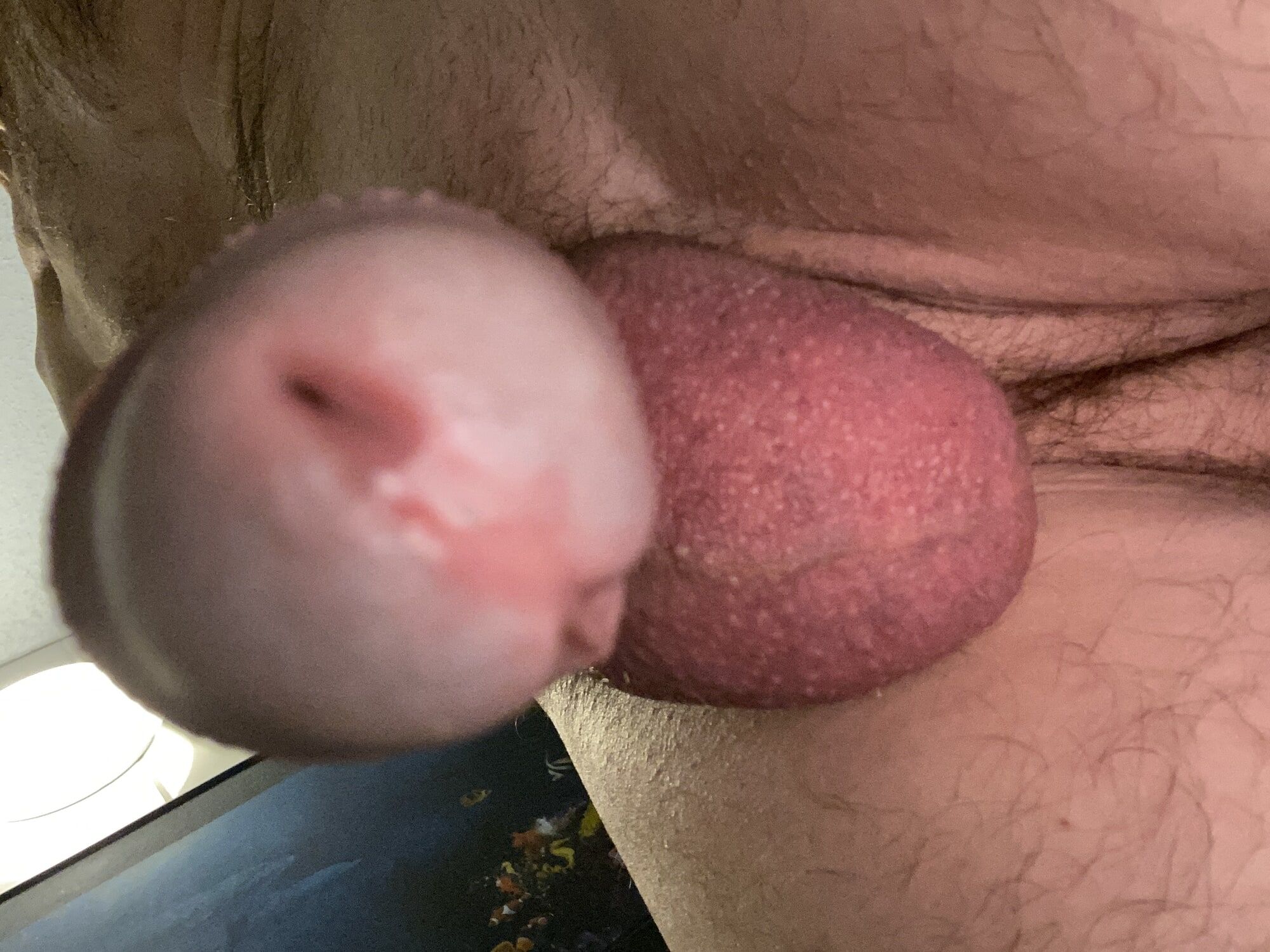 My cock collection with cock rings #3