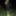 EK LIME #3