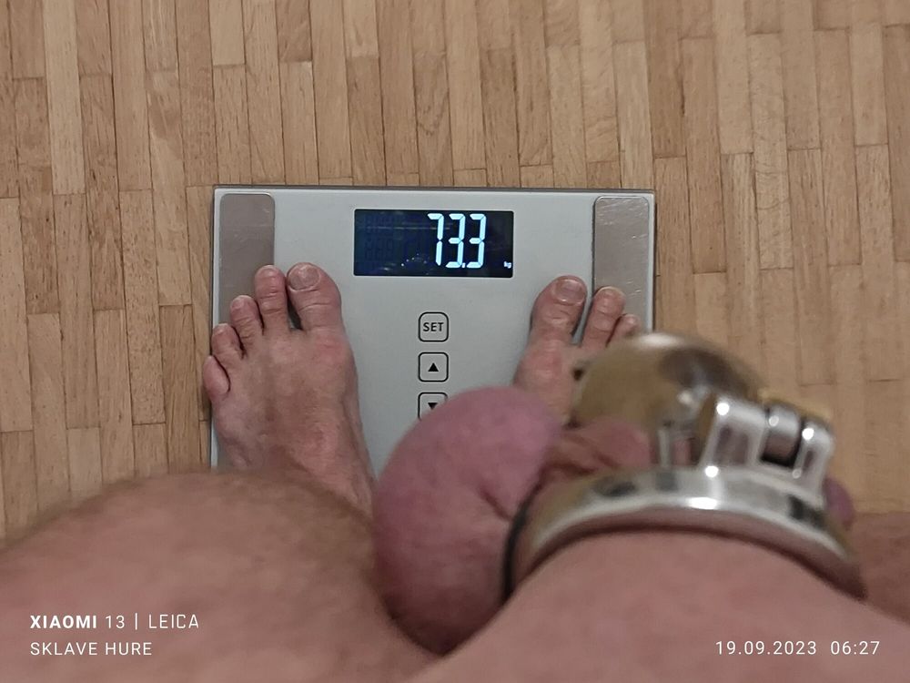 Weighing, Cagecheck, plugcheck September 19.2023 #15