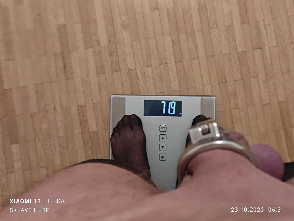 Mandatory weighing cagecheck plugcheck Oktober 23, 2023 #3