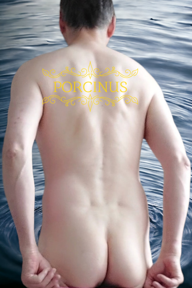 Porcinus master of water #19