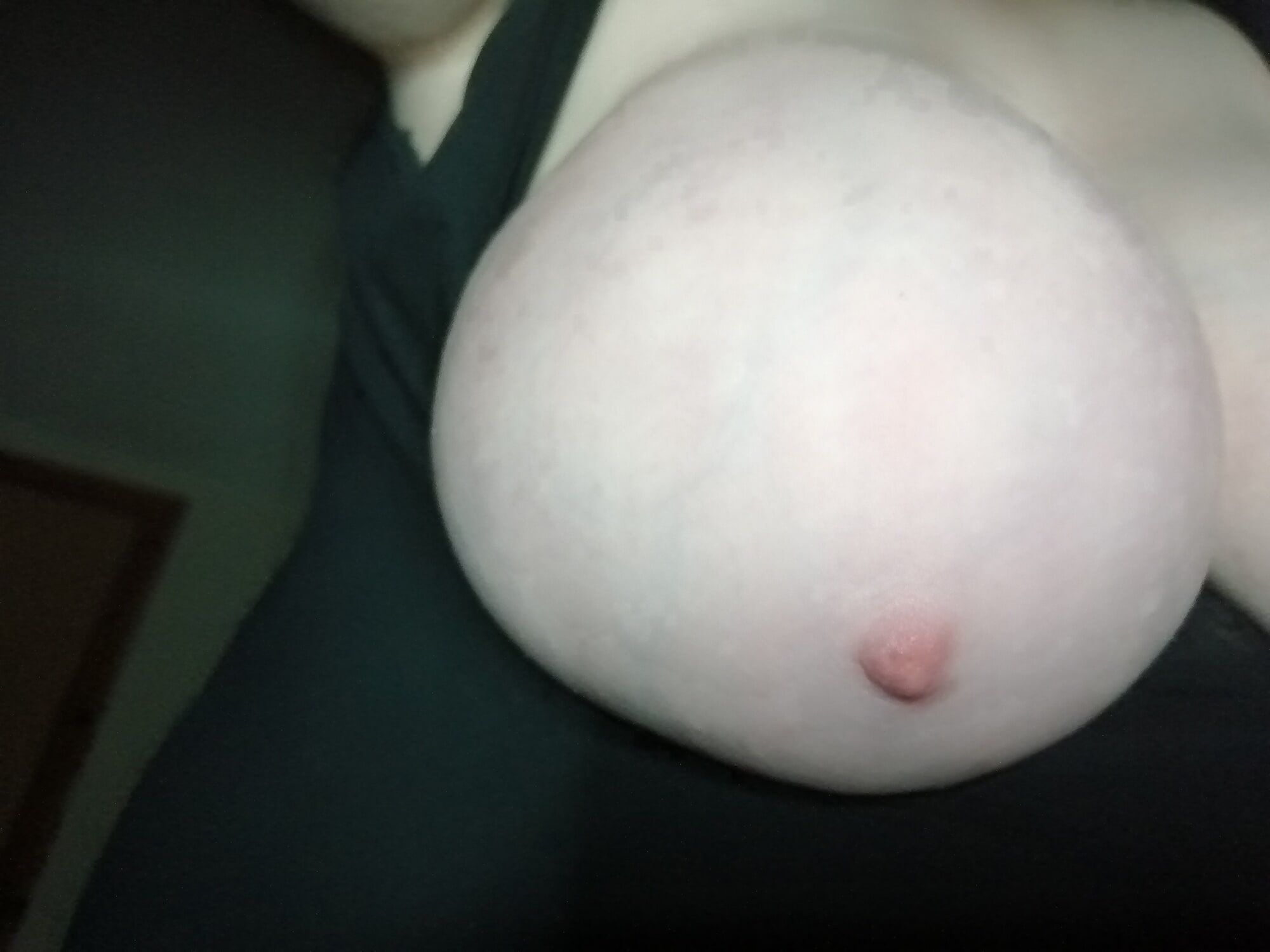 High-quality photos of my tits #16