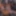 Ücretsiz Morpheuscuk Fotoğrafları