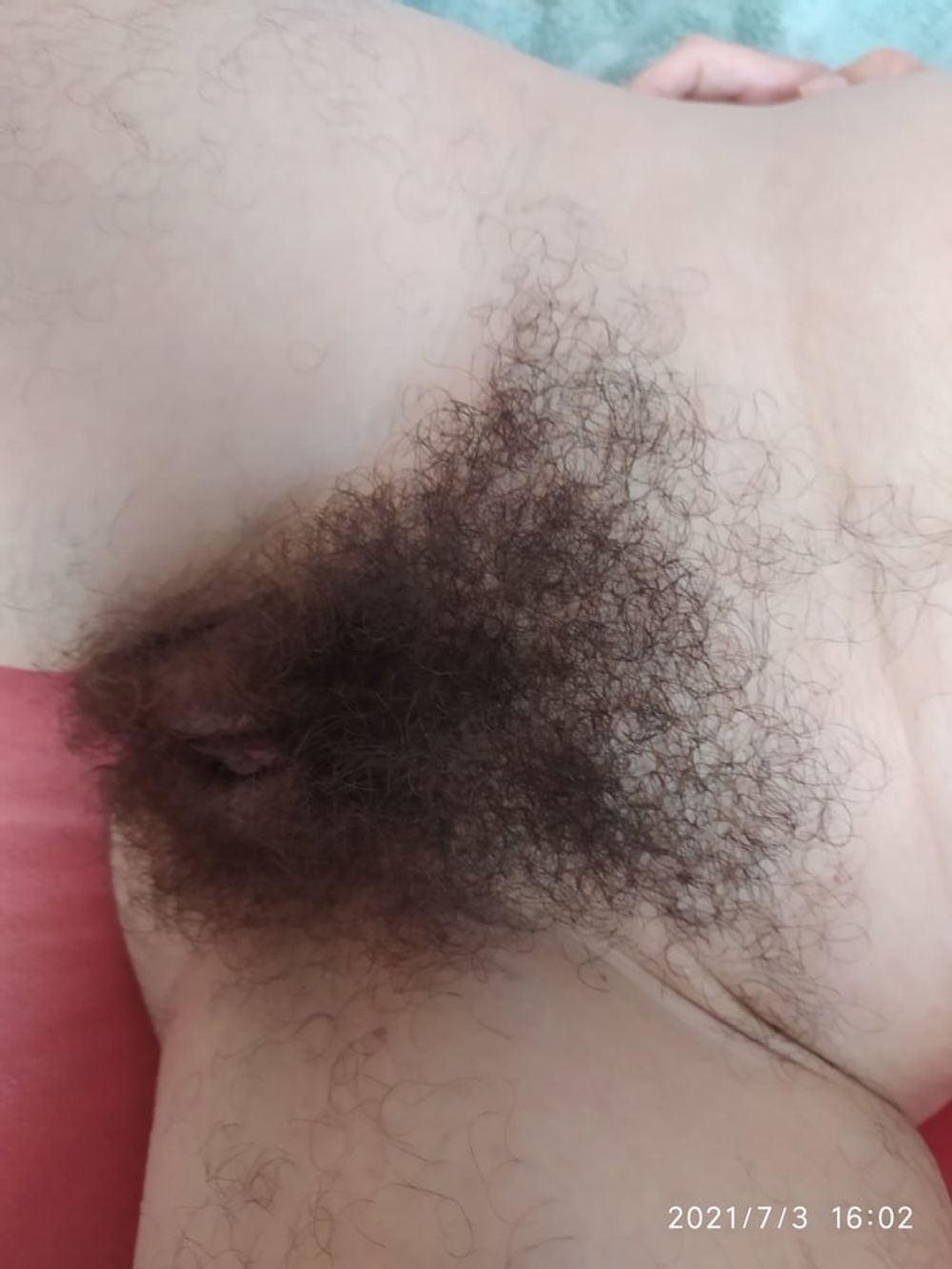 hairy #24