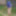 Blue-haired beauty showing her bust while gardening #6