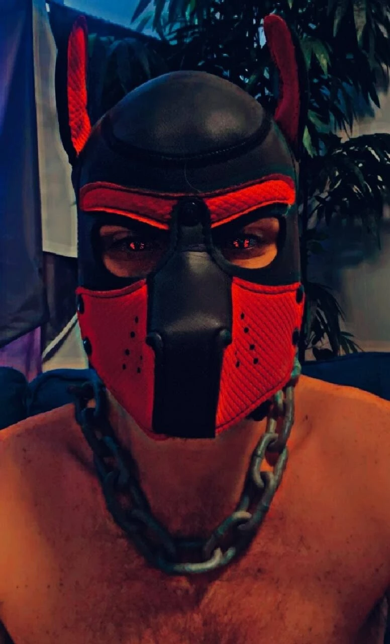 latino  #15