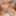 BLACK T-GIRLS: Tiffany Stackems Lusts For Justin Deep