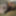 Kolkata top boy Big Dick massage Photo. 