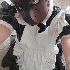 SubbyPuppy Free Photos