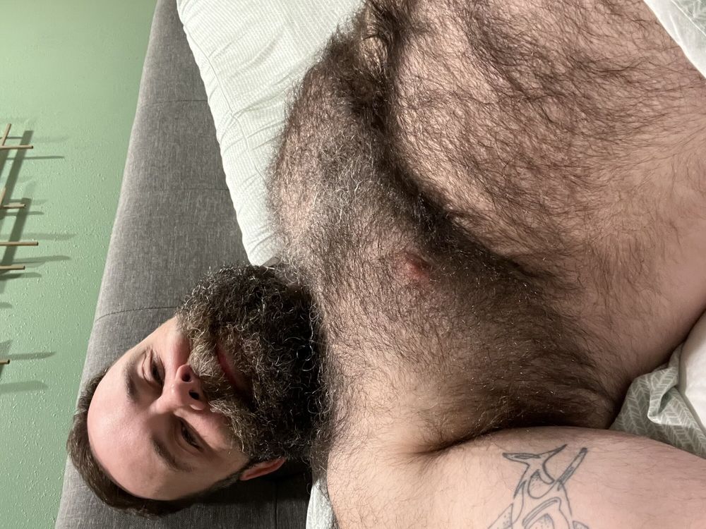 Your Hairy Bear Dad #4