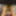 Futa on the Menu! Animated Threesome by Prime3DX  #6