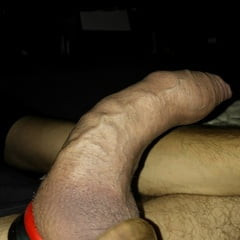 German cockring 