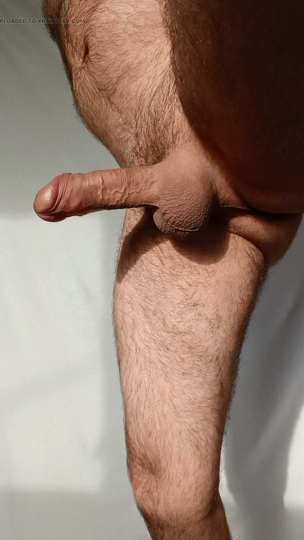 Good Day Everyone #6