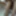 LizzyYum 2022 Orgasm Diary and Database #4