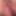 A very hot Photo Shoot of Candy Lips with extreme close ups  #2