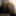 2019 pics