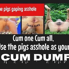 Piggy