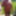 June 2019 nude outside Juin 2019  nu exterieur chez moi #27