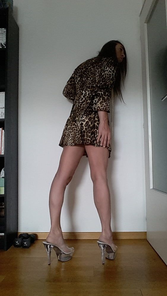 Tygra in her new leopard dress. #16