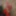 2019 New year in Mask #4