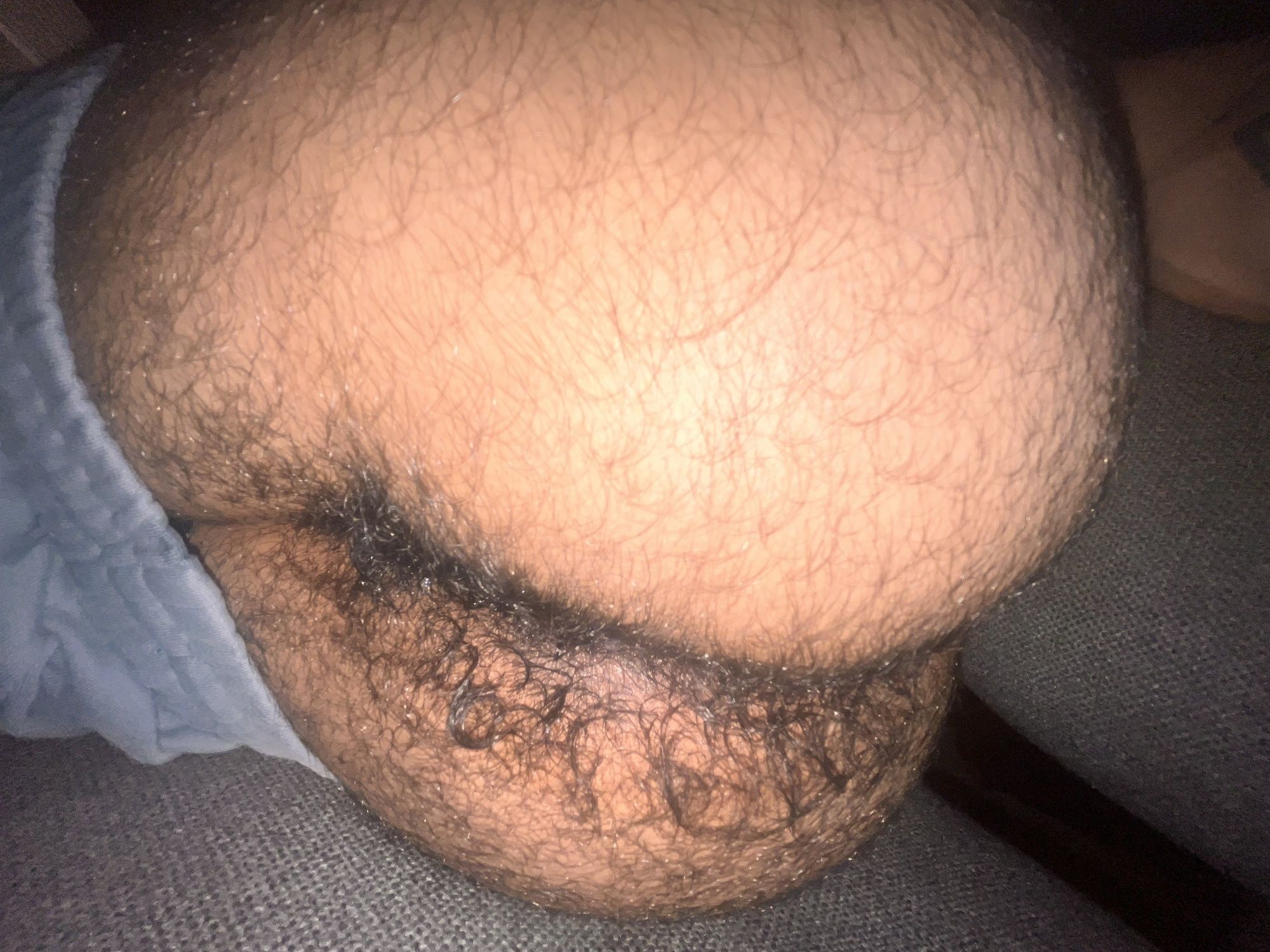 Hairy Butt #3