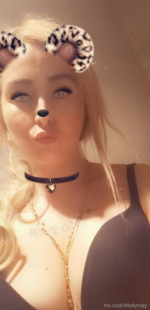 Tazzie teazer Free Photos #5