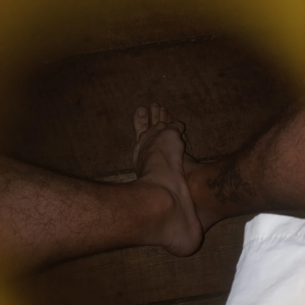 Dia A dia 