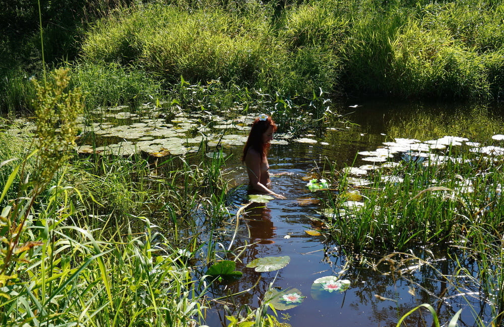 in a weedy pond #3