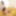 Rena :: Perfect Responds To Any Cocks - CARIBBEANCOM #4