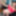 GROOBYGIRLS: Climax Monday with Jill Pill!