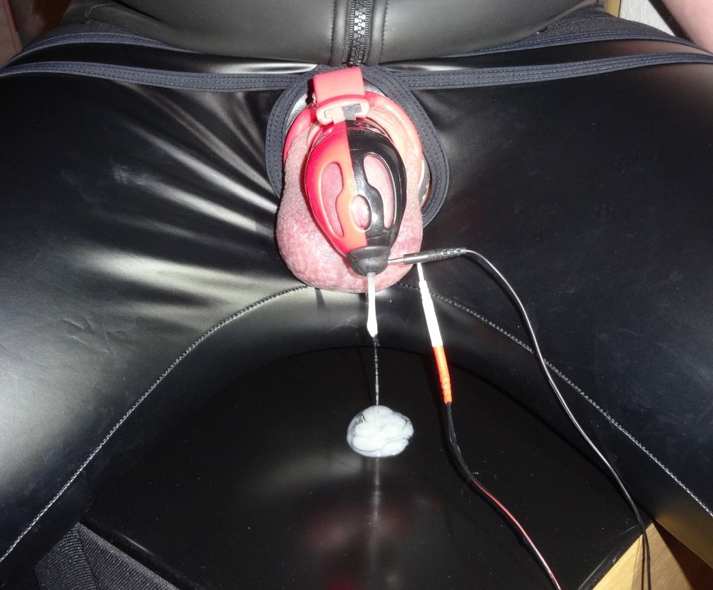 Estim electro milking #32