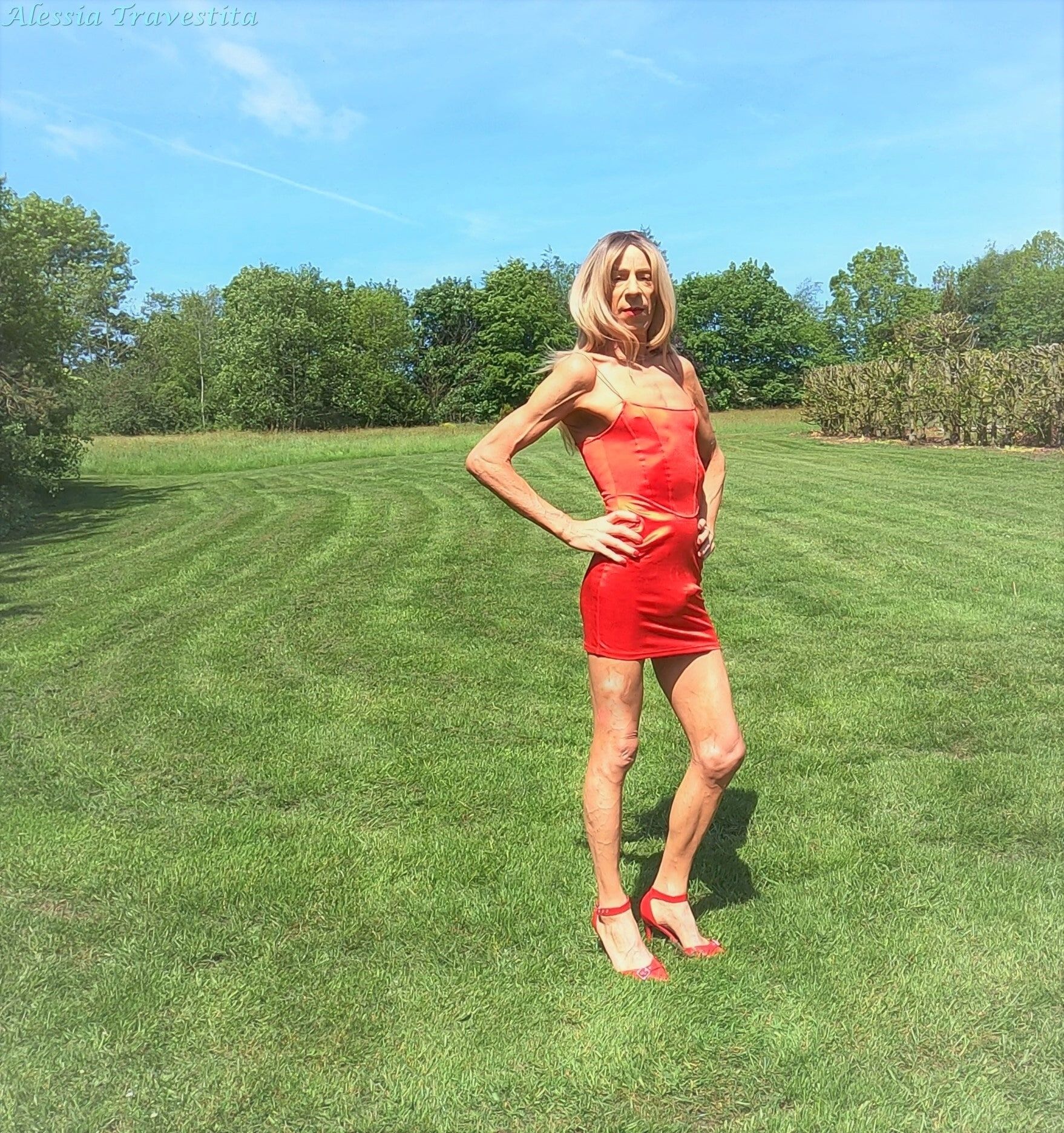 89 Alessia Travestita Red Silk Dress in Country #11