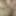 Pakistani girl boobs and creampie tight pussy pics