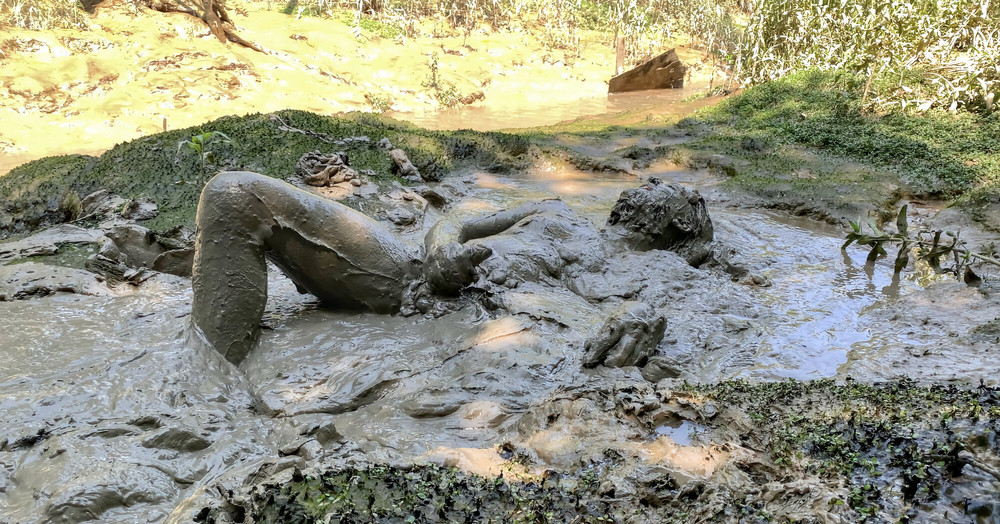 SHOT : MUD SUBMISSION #11