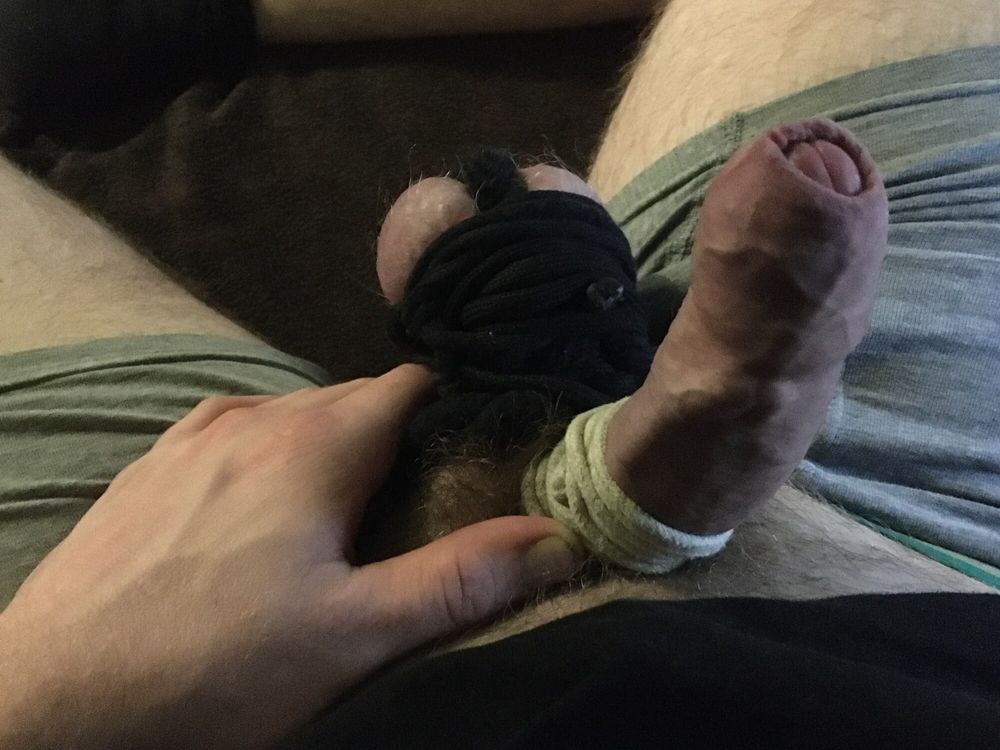 Hairy Dick And Cum Filled Balls Bound #12