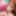 Caramelytoo  Free Photos