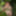 Wanking in the woods #24