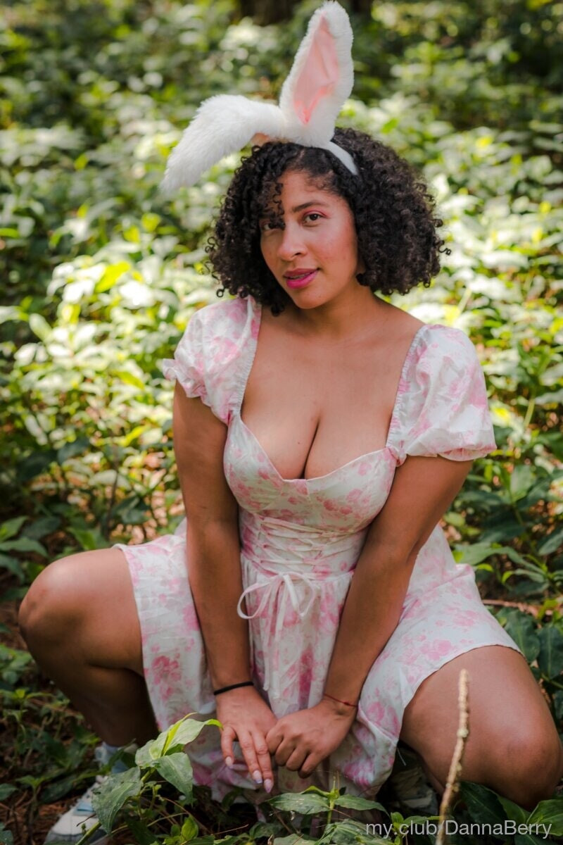 DannaBerry Free Photos #5