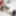 Photo Scenes - #006