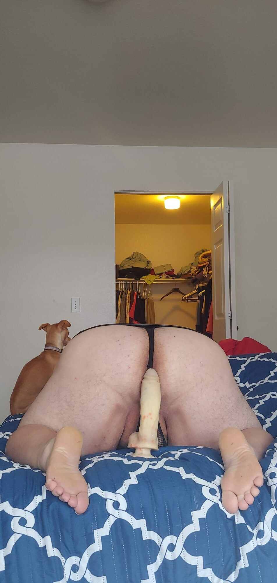 Here is Just my Delicious Peach  #17