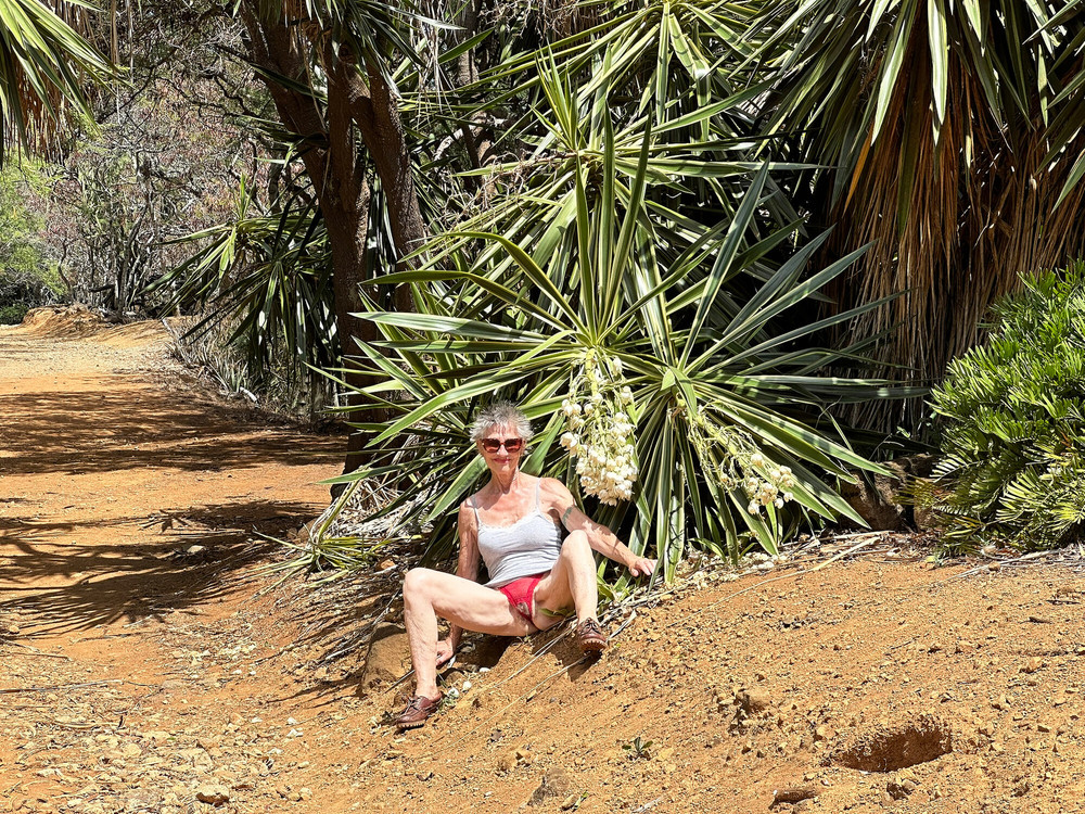 Photos from Hawaii  #57