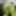 Lime spandex collection 2  #7