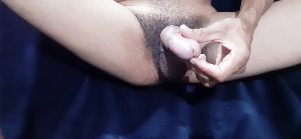 Cock  #22