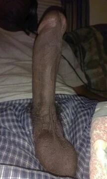 Dick gallery