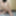 Amateur Petite Teen Arab Shows Pussy, Ass And Tits In Niqab #7