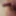 My dick with piercings  #6