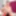 Mature milfs and gilfs from OlderWomanFun #3