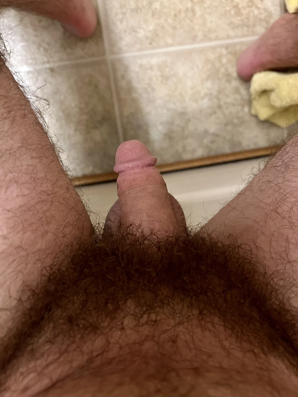 A Little Bit of Everything #5