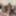 Foursome fucking with two horny couples 