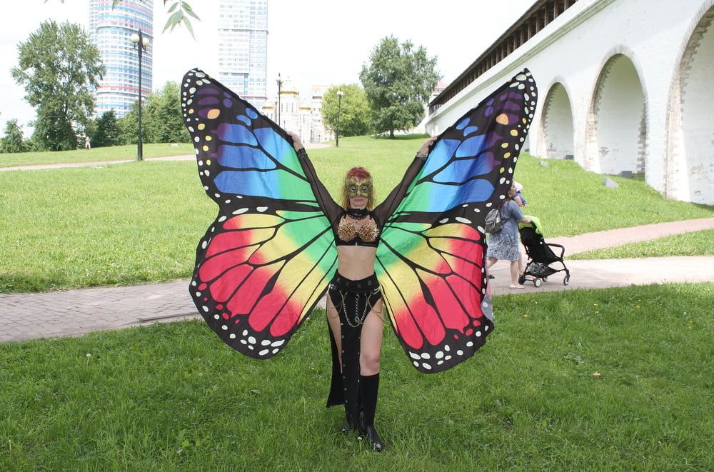 Wings of Butterfly #3